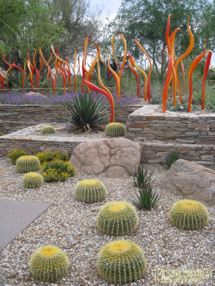 鳳凰城沙漠植物園入口花園