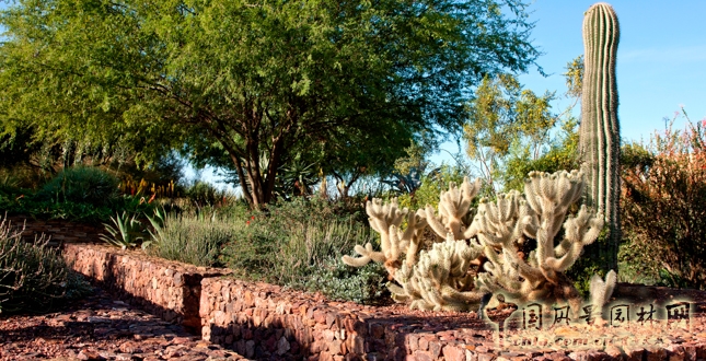 鳳凰城沙漠植物園入口花園