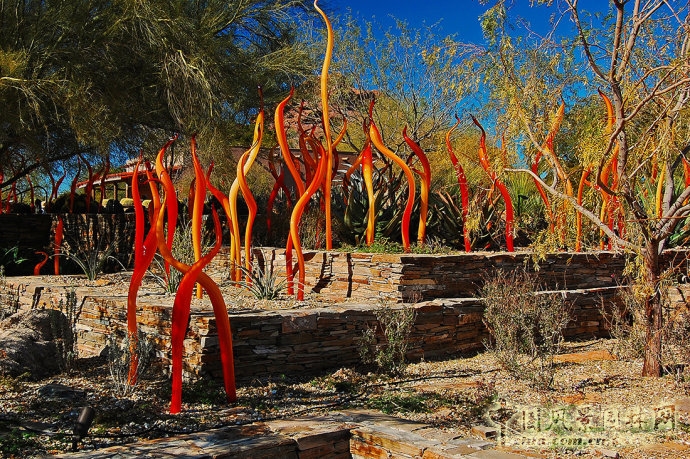 鳳凰城沙漠植物園入口花園