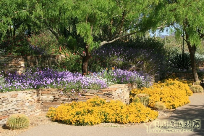 鳳凰城沙漠植物園入口花園