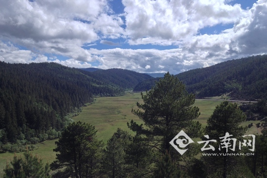 國家公園 普達措國家公園 生態旅游