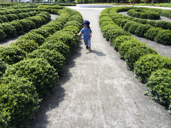 紐約市區(qū)一處遠(yuǎn)離煩囂的靜地~總督島