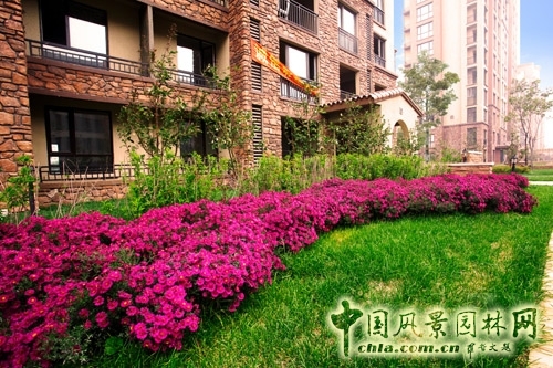 易德地景 魯旸 景觀設計 信達理想城