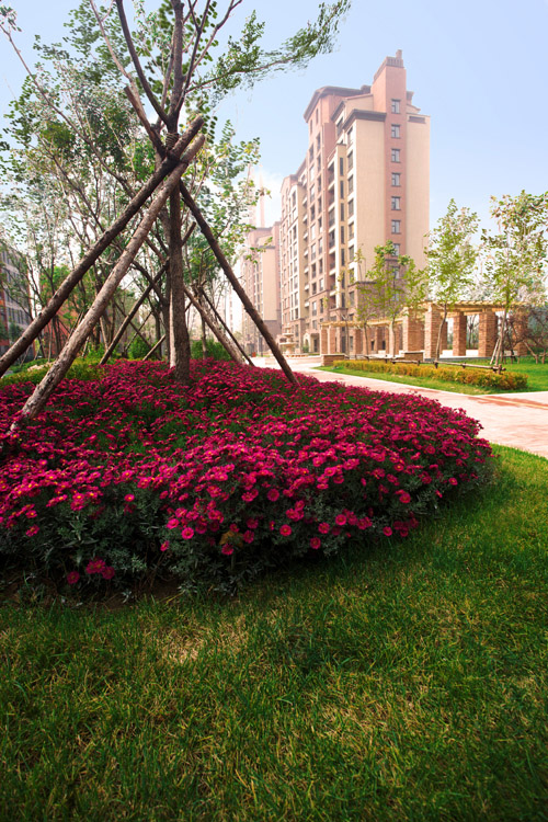 易德地景 魯旸 景觀設計 信達理想城