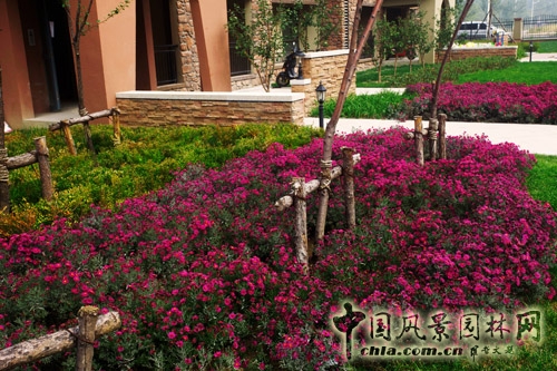 易德地景 魯旸 景觀設計 信達理想城