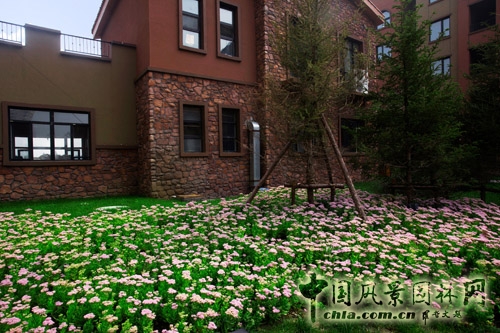 易德地景 魯旸 景觀設計 信達理想城