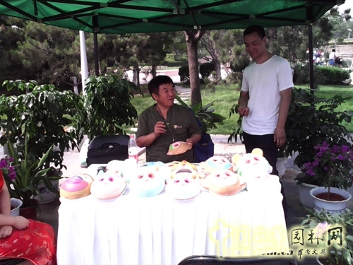 端午游園 北京園博園 民俗文化