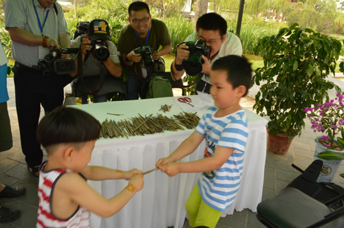 端午游園 北京園博園 民俗文化