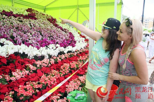 黑河花展