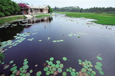 昌江海尾濕地公園風(fēng)光