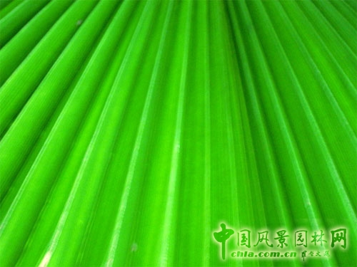 什么是綠色設計