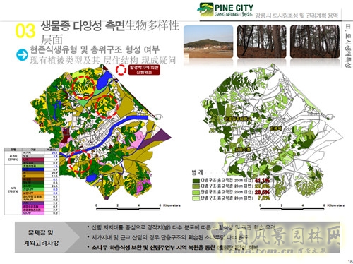 趙泰東:韓國江陵市城市林建設和管理計劃