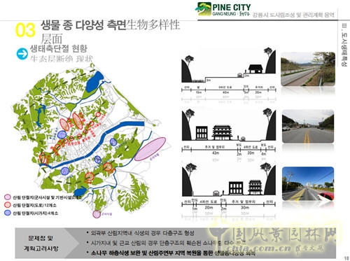 趙泰東:韓國江陵市城市林建設和管理計劃