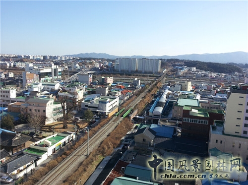 趙泰東:韓國江陵市城市林建設和管理計劃