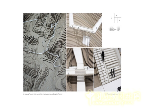 陳弘志:香港風景園林教育的新發展