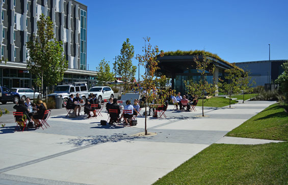 新西蘭奧克蘭廣場設計