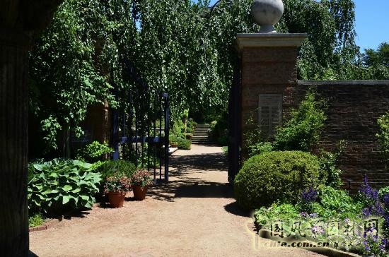 莫斯科總植物園