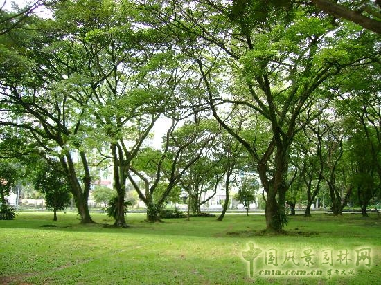 莫斯科總植物園