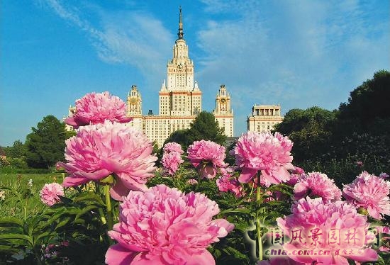 莫斯科總植物園
