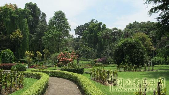 莫斯科總植物園