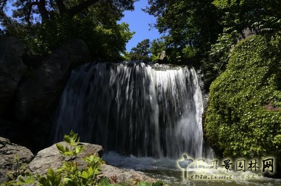莫斯科總植物園