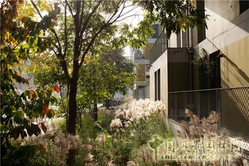 里爾林中社區(qū)