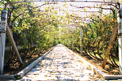 住宅景觀獎 河海龍灣 易德地景 魯旸
