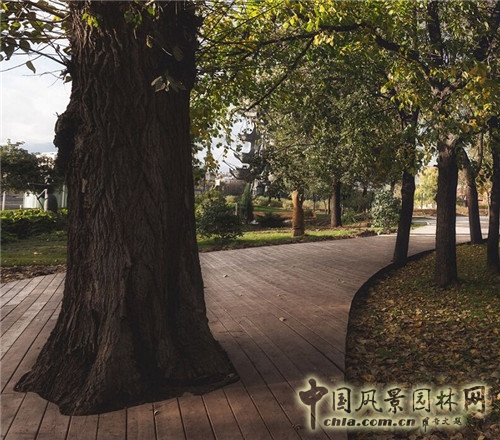 俄羅斯莫斯科Krymskaya濱水公園