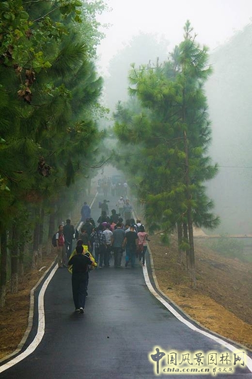 笛東 袁松亭 景觀設計 景觀規劃