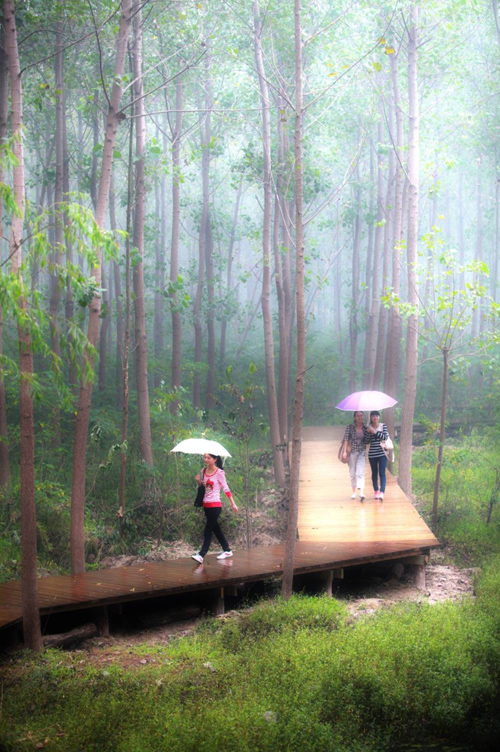 笛東 袁松亭 景觀設(shè)計(jì) 景觀規(guī)劃