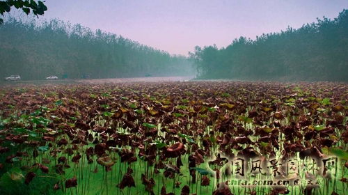 笛東 袁松亭 景觀設(shè)計(jì) 景觀規(guī)劃