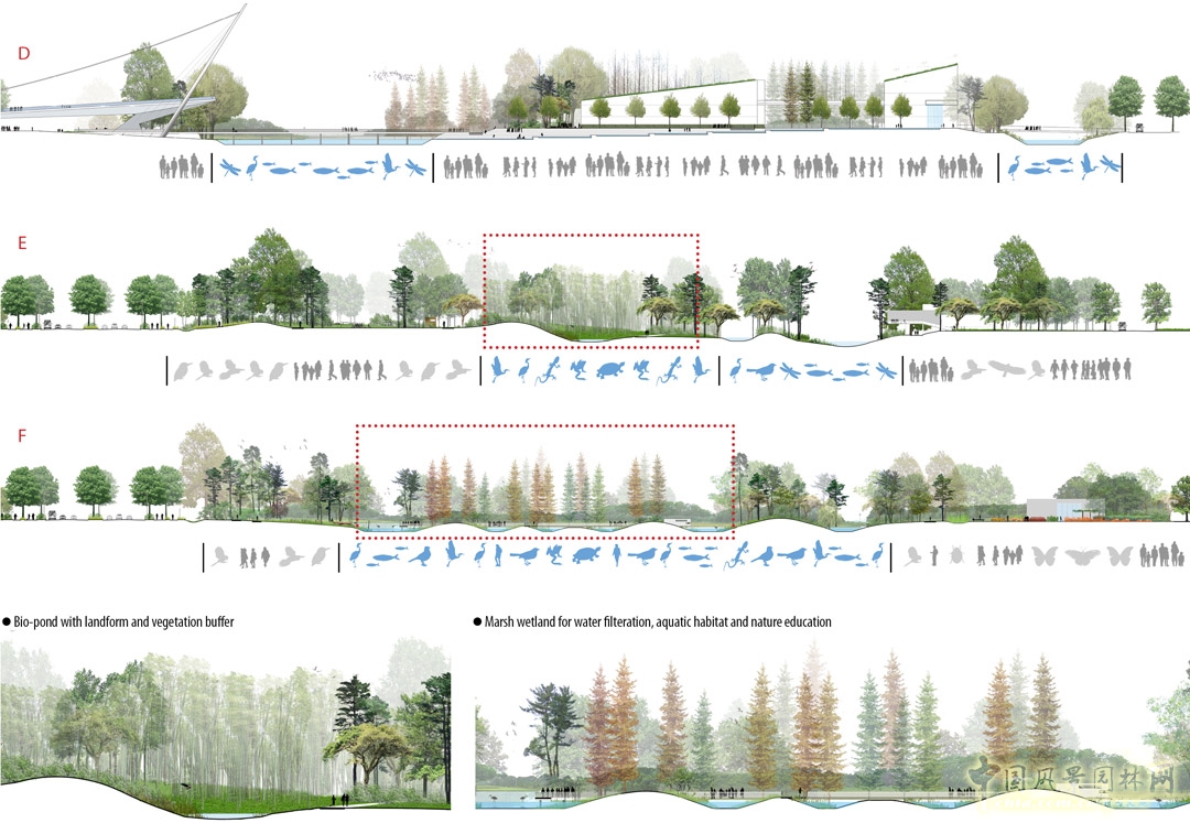 通過水樣采集和繪制當地水文循環圖和自然水流分布圖