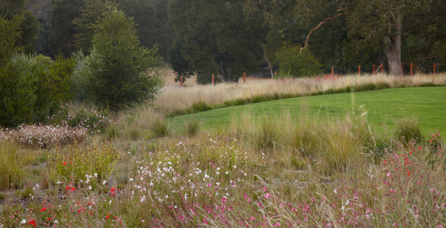 ASLA住宅景觀設(shè)計類榮譽(yù)獎：伍德賽德住宅區(qū)
