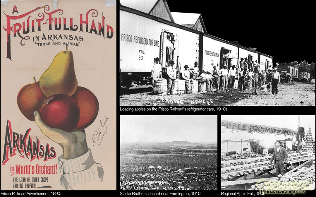 法明頓城市景觀規劃