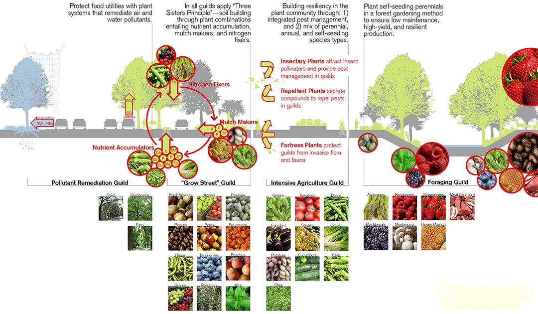 法明頓城市景觀規劃設計