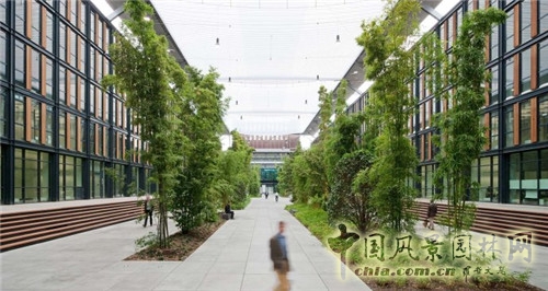 德國科隆Rheinpark-Metropole辦公空間景觀設計