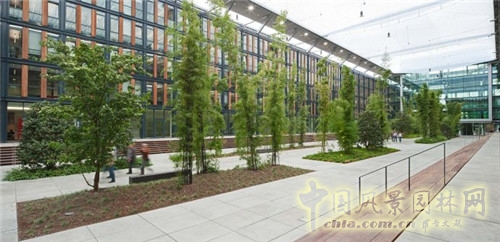德國科隆Rheinpark-Metropole辦公空間景觀設(shè)計