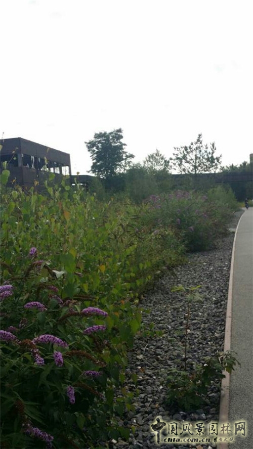 埃森的關稅同盟煤礦工業區