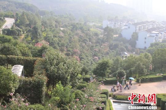 雙龍紫薇園內(nèi)的游客。