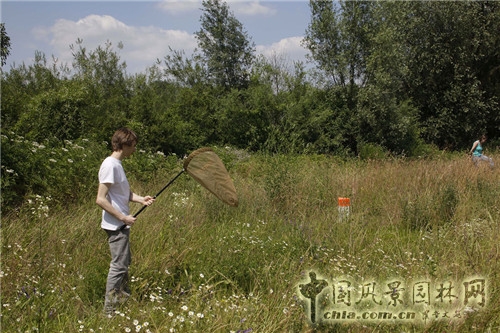 法國(guó)南泰爾市Chemin公園