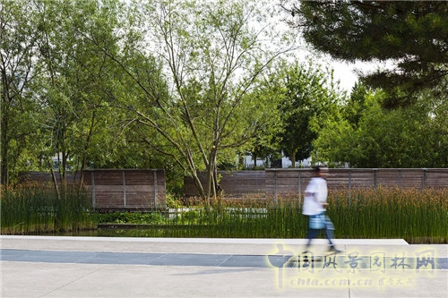 法國(guó)南泰爾市Chemin公園