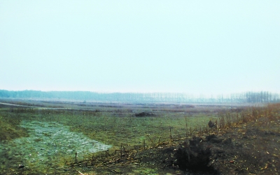 綠化前的西集鎮(zhèn)荒地。