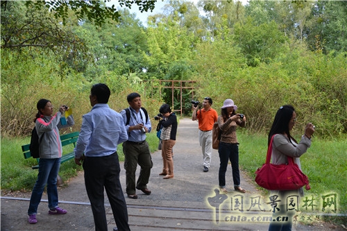 德國Südgel?nde自然公園