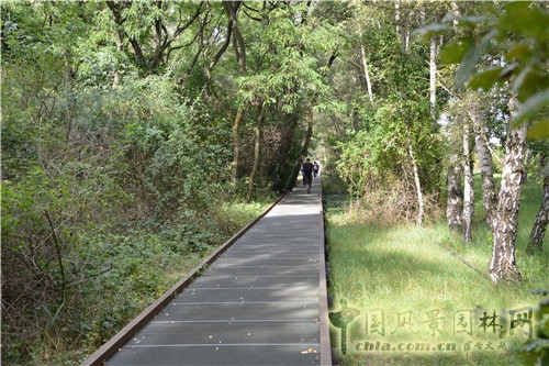 德國Südgel?nde自然公園