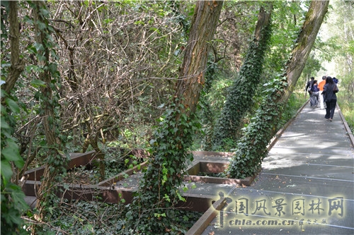 德國Südgel?nde自然公園 