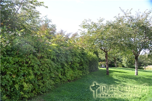 克里希?巴蒂尼奧勒公園