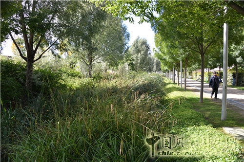 克里希?巴蒂尼奧勒公園