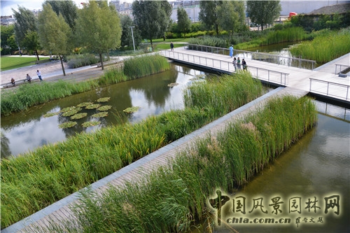 克里希?巴蒂尼奧勒公園