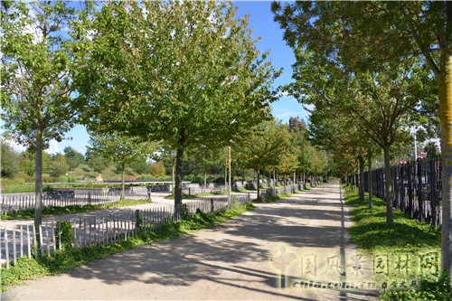 克里希?巴蒂尼奧勒公園