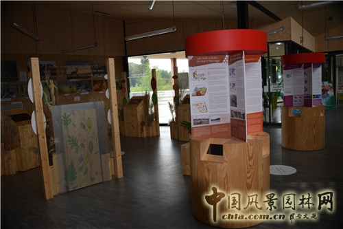 島嶼生態(tài)公園